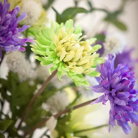 Villa Sofias Pefkochori