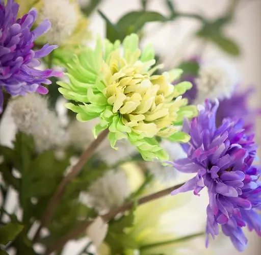 Vila Sofias Pefkochori